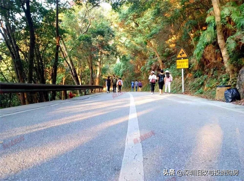 龙华观澜黎光旧村更新,绿景观澜黎光旧改进度