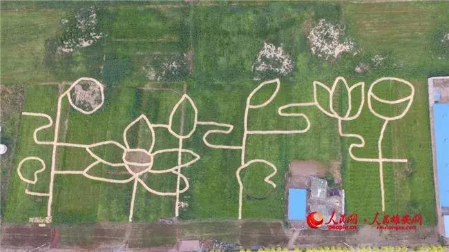 雄安必玩,雄安可以去的地方