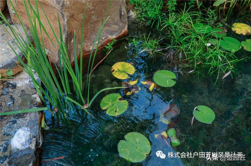 无锡海岸城郦园平面布置,无锡海岸城郦园二期在哪