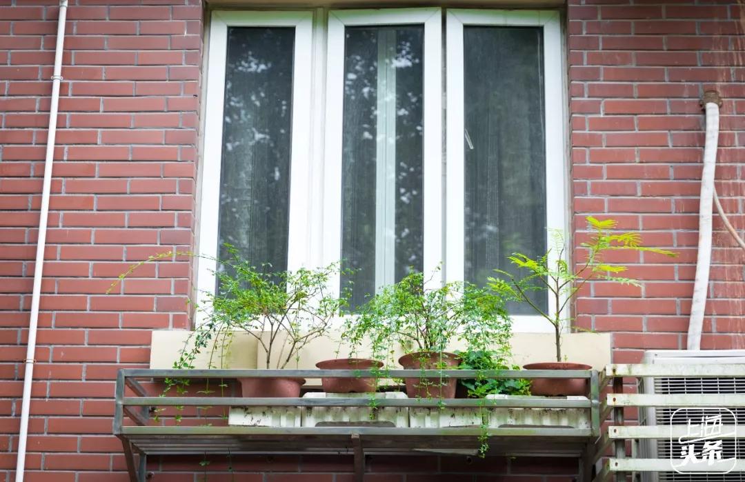 结棍！上海人家门口的这条老街，竟然见证了上海滩的百年风云