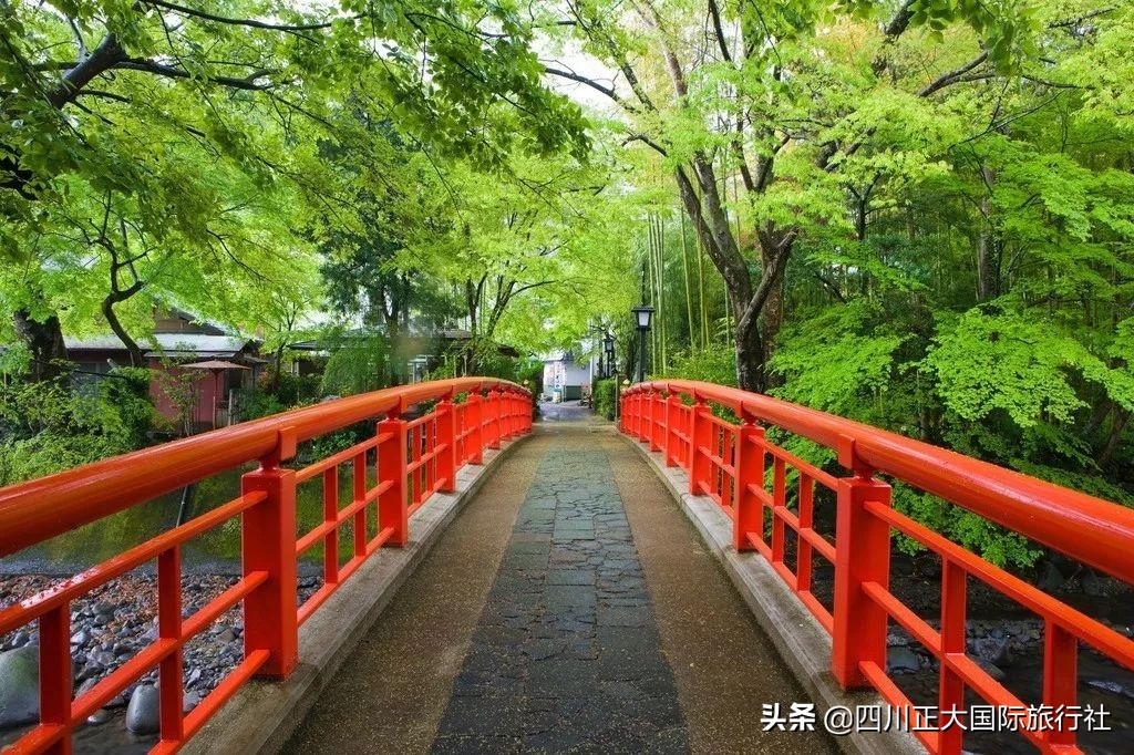 3日行走舞女激情步道体验伊豆万千浪漫