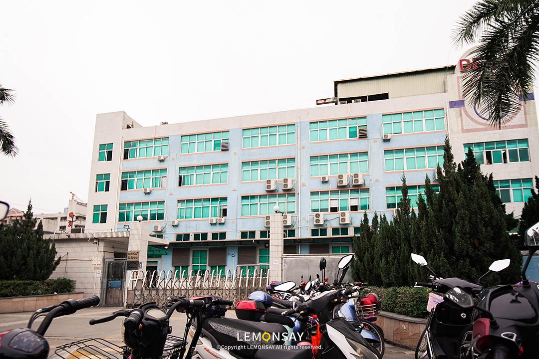 沙井的蚝,沙井为什么这么多蚝