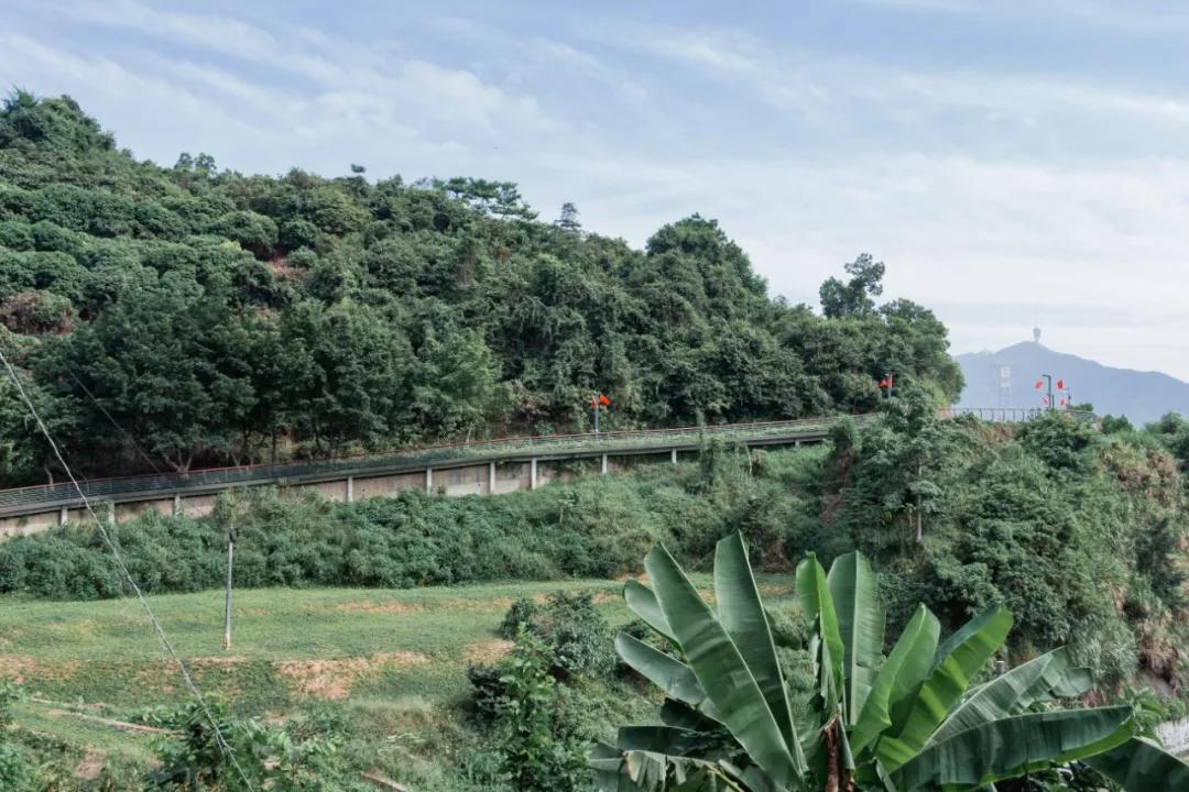 深圳这10条绿道你去过没,深圳十大绿道排行榜