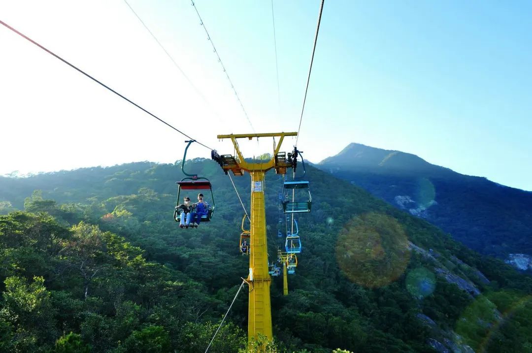 深藏在森林之中的温泉酒店,隐藏在森林里的豪华酒店