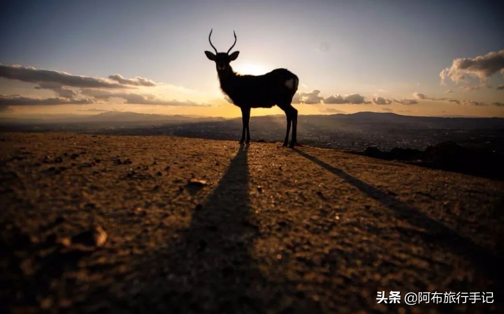 去日本神户还是奈良,到了大阪先去神户还是奈良