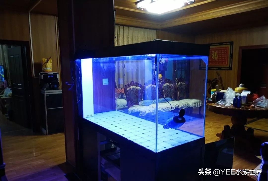 鱼缸专用密封胶是什么,鱼缸胶和玻璃胶有什么区别