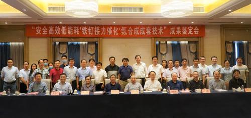 国际领先！此技术有望撬动氨产业上千亿提升空间
