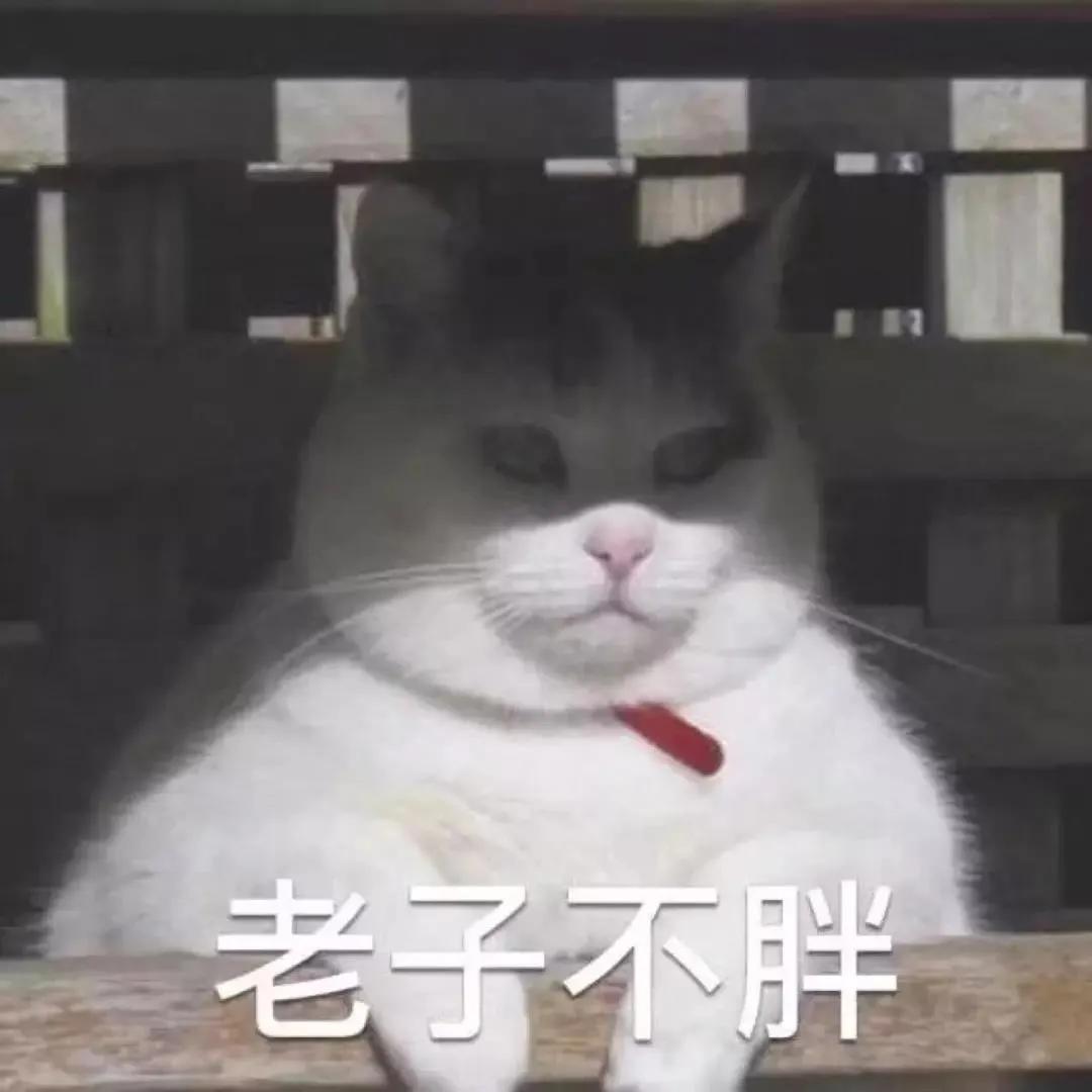 猫咪尿血怎么治疗好得快,猫咪尿血有什么方法可以治吗