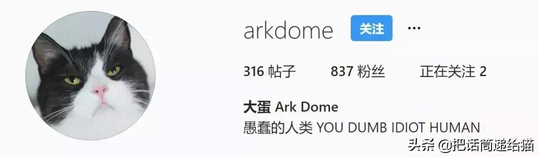 猫故事书籍,猫故事小说