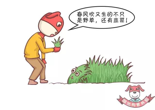 香菜、香椿……这些有味道的蔬菜，吃了有什么好处？