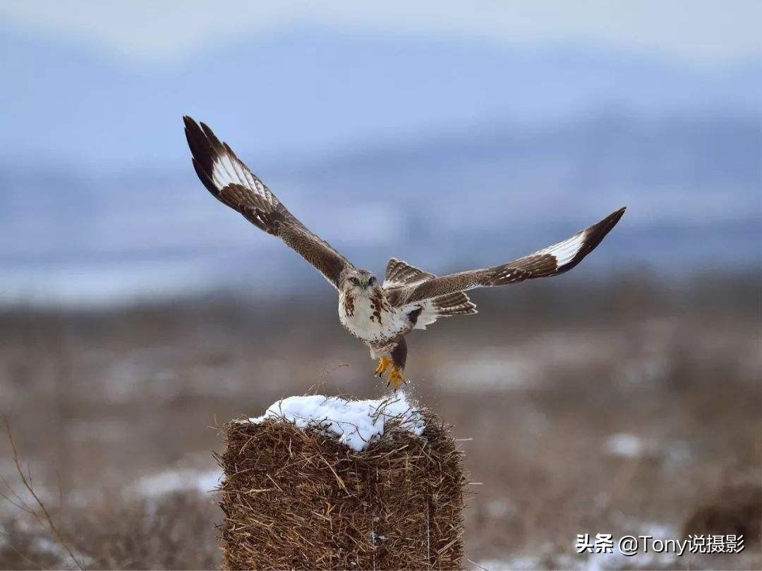 照片怎么拍出摸糊感,照片拍糊了怎么p清楚数字