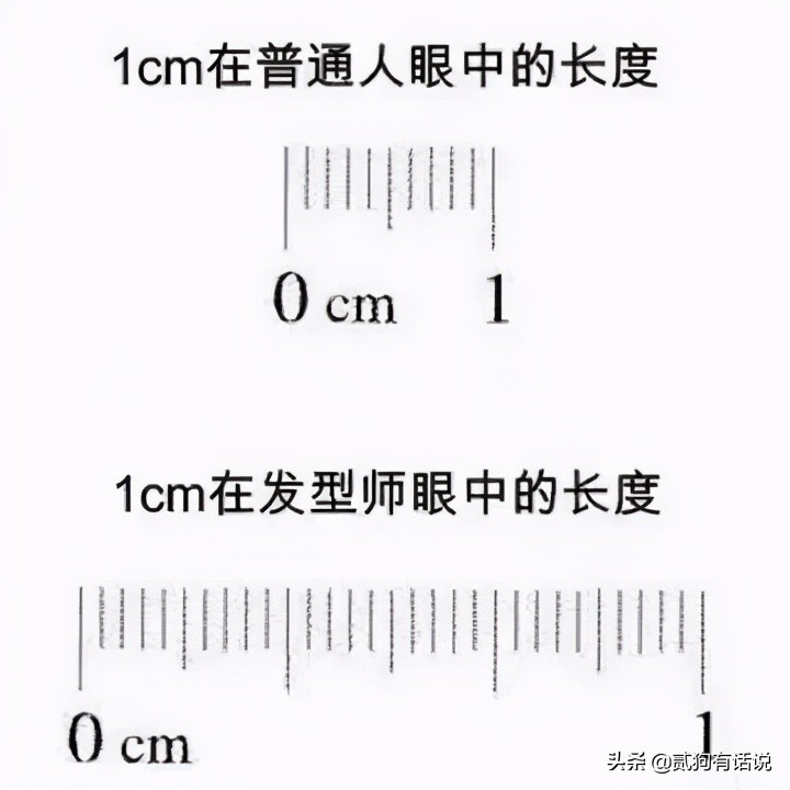 托尼老师的真实事件,托尼老师的行业内幕