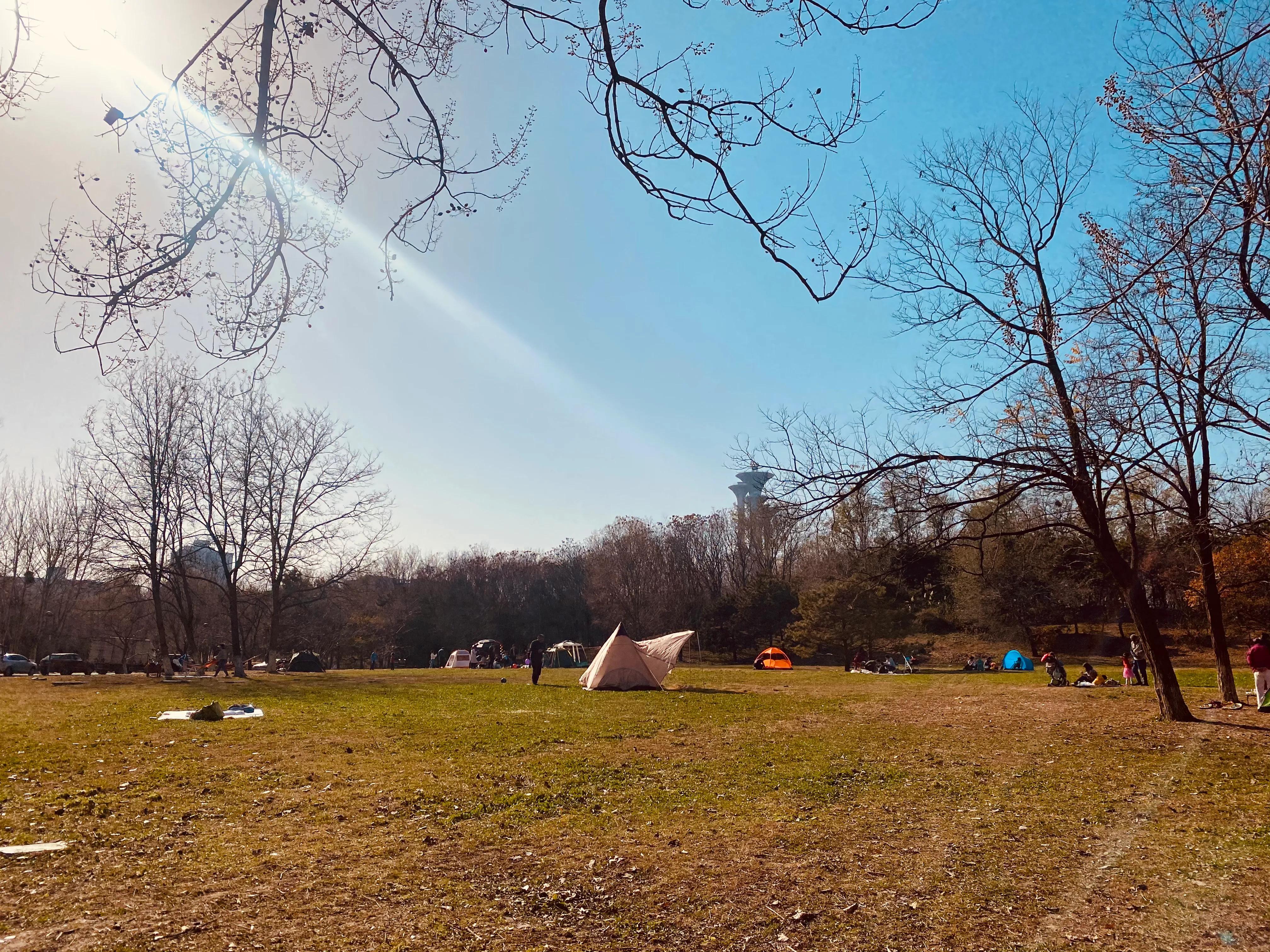 奥森游玩攻略,奥森亲子游玩