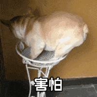 画风诡异的日本云毕业典礼，场面似僵尸电影！网友：有被吓到！