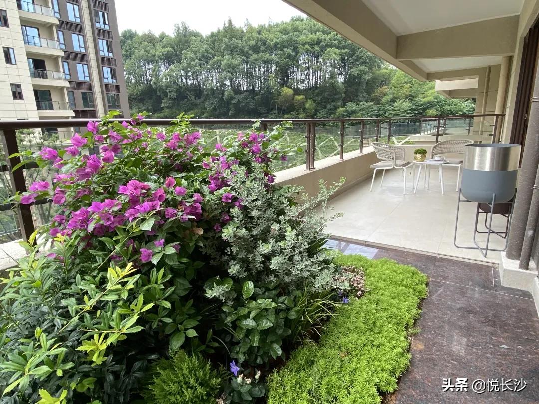 坚挺！高铁西限价首次破万！7字头现房大平层，踩在风口上