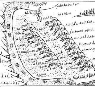 农业害虫防治法,中国古代农业怎么防止虫害