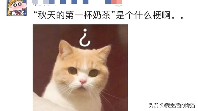 奶茶自己做不用茶叶,奶茶不用锅做怎么做