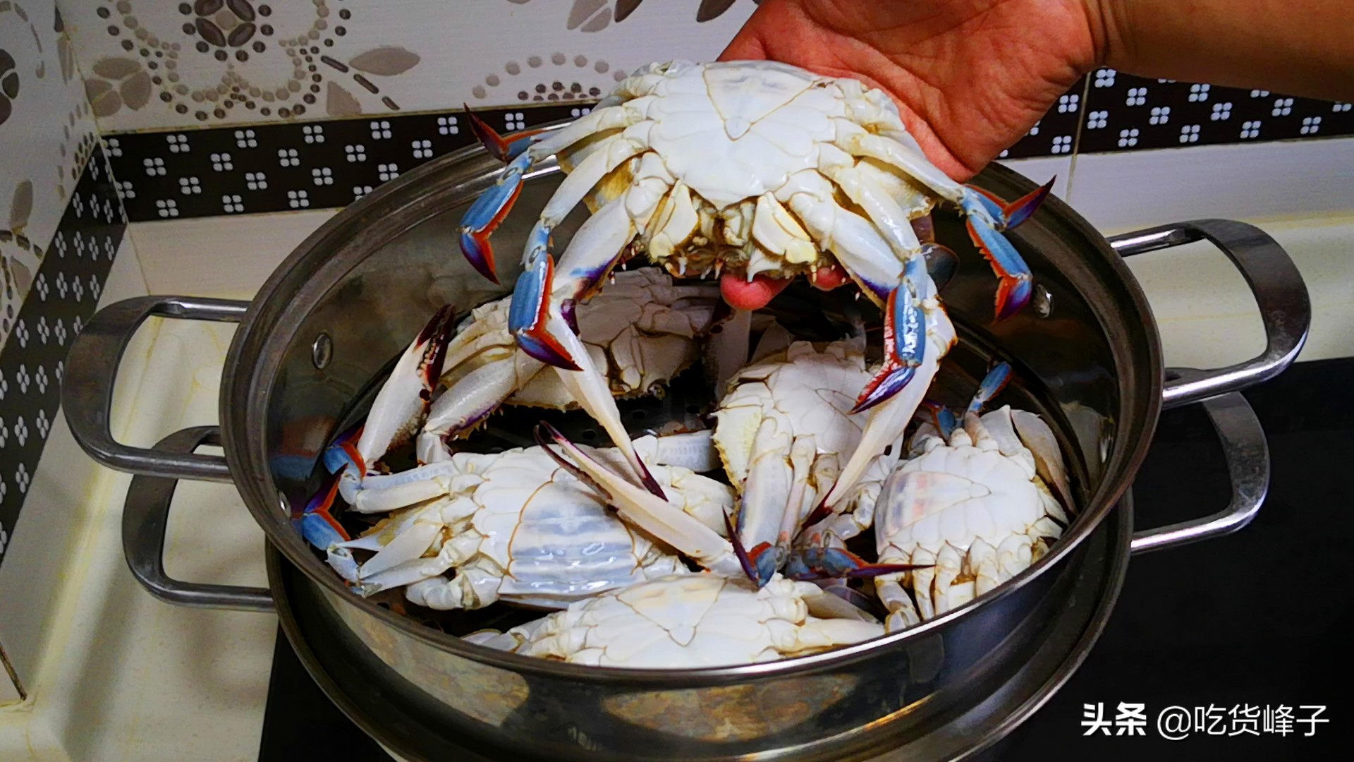 怎么挑选梭子蟹好吃,教你怎么挑梭子蟹