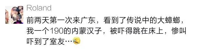 家里蟑螂多用什么方法灭蝇效果好,除蟑螂家用灭蟑神器
