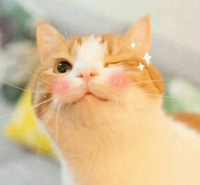 今年最后一次剁手,2020年最后一次买年货