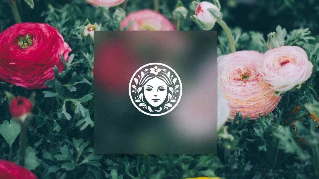 爱诺玛亚产品怎么样,如何打造品牌认知