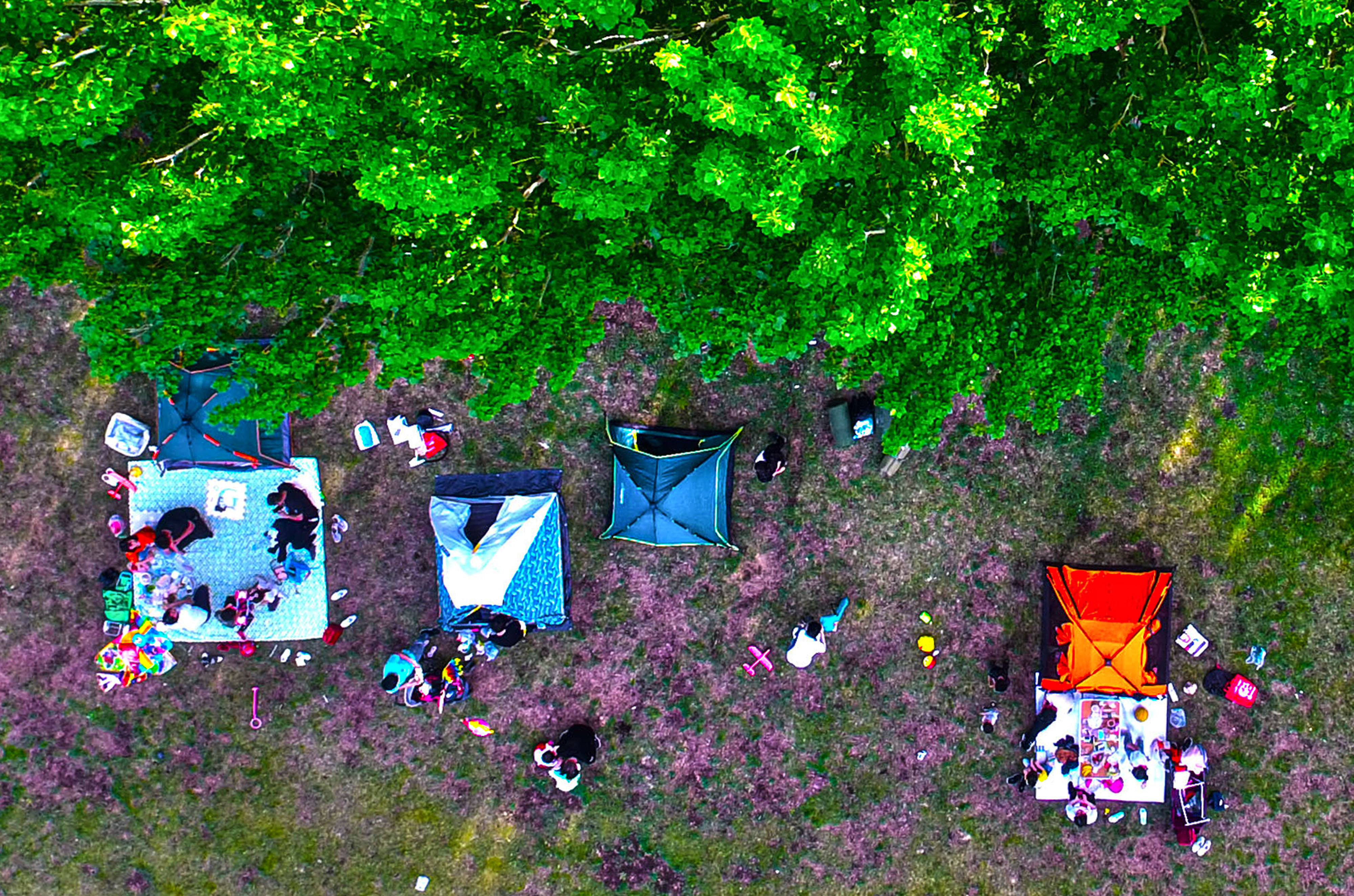 沈阳夜晚露营最佳季节,沈阳晚上适合露营看星星的地方