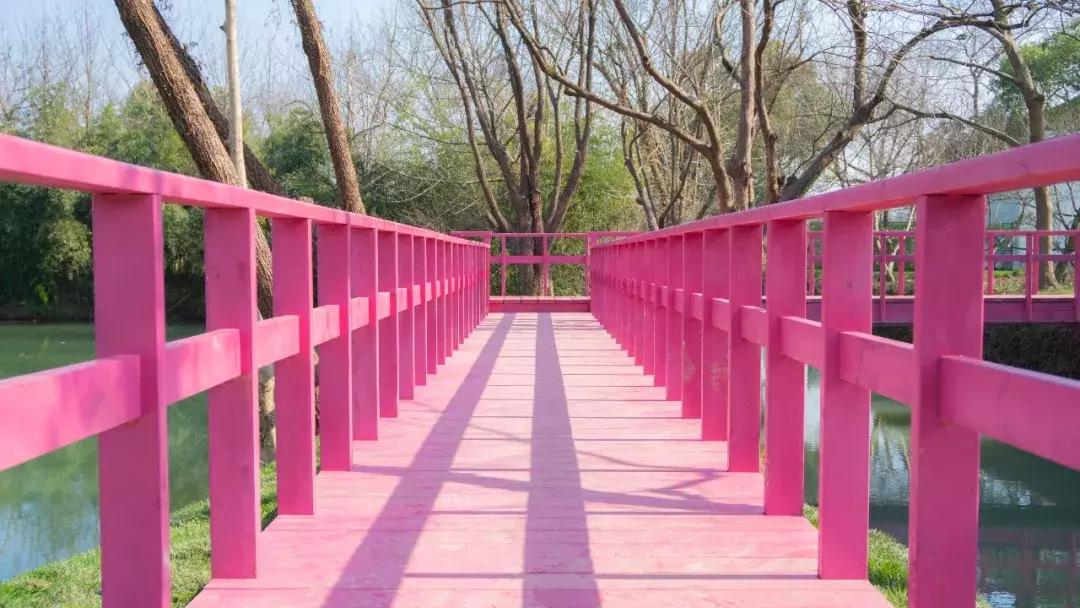 中国最美湿地公园，坐着船入住，皇帝都没机会住的地方你可以！