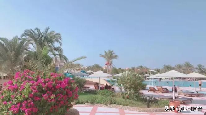 埃及旅行安全吗,埃及旅行后感悟