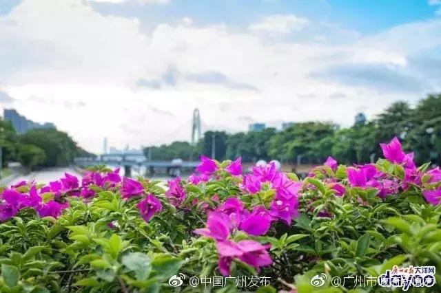 地铁直达!广州15个最适合春游的打卡点,春暖花开超好玩!
