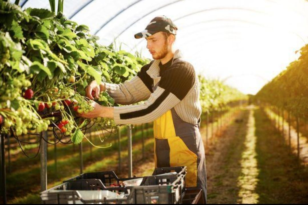 出国打工真的有危险吗,出国打工去哪里好