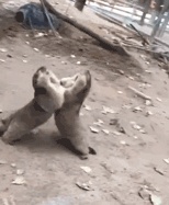 有哪些非常冷门的冷知识,那些非常冷门但实用的冷知识