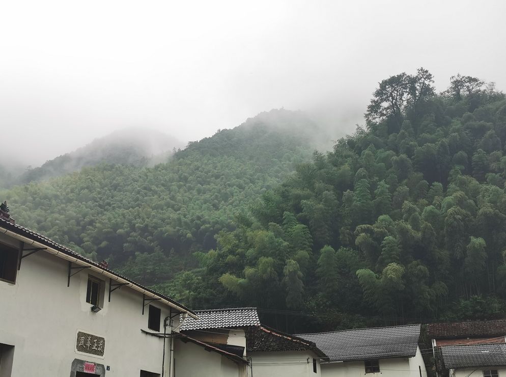 一场烟雨，把人困进仙境！藏在金华南山的这个小村，不求爆红，只求安静邂逅！