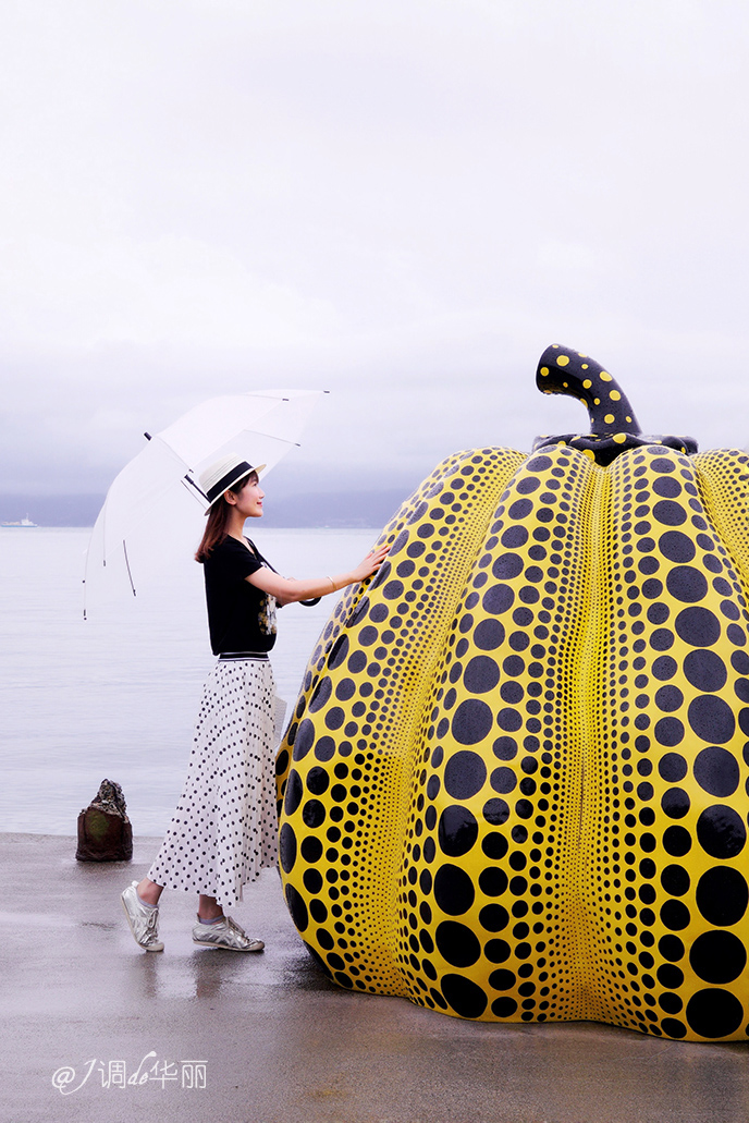 日本大阪距东京多摩市多远,日本大阪离海边有多远