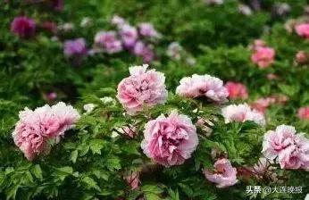 大连旅游必去景点路线推荐,大连最佳的旅游路线