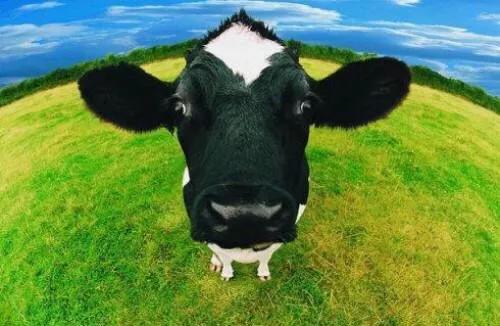 挑奶粉看哪些指标,宝宝肠胃不好怎么挑奶粉