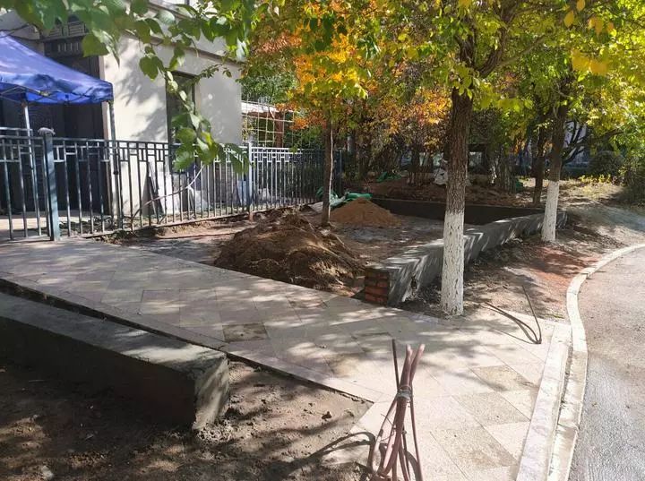 “我就干了，你们能咋地！”观复国际这位业主真“牛”！三个月前刚被处理，如今又毁绿