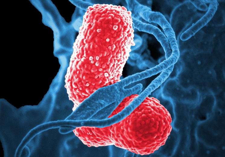 近20年全球疾病,全世界发病率最高的疾病