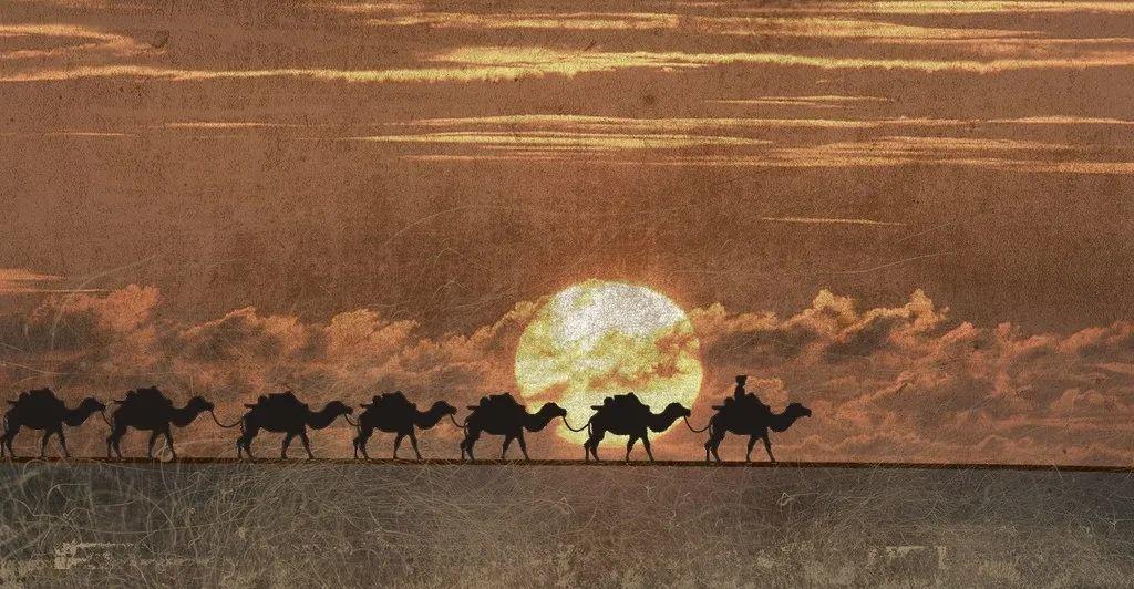 迪拜驼奶怎么辨真假,真假驼奶揭露不良商家的真面目