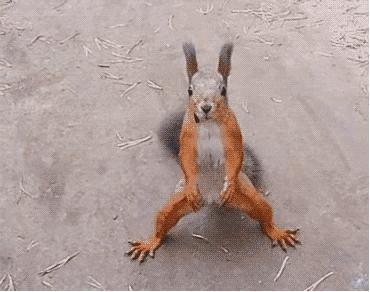 你还记得那些童年的记忆吗,你还记得你小时候玩的玩具