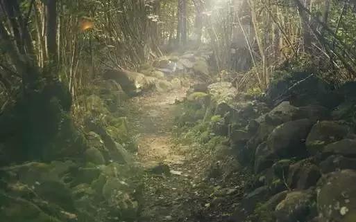 户外迷路怎么办?记住这6点,关键时刻能救命