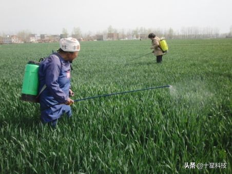 小麦一喷三防技术,小麦一喷八防配方