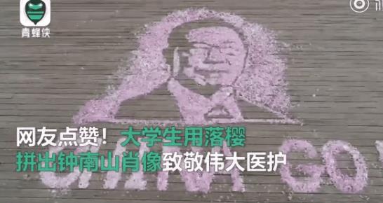 点赞！辽宁两大学生用落樱致敬榜样