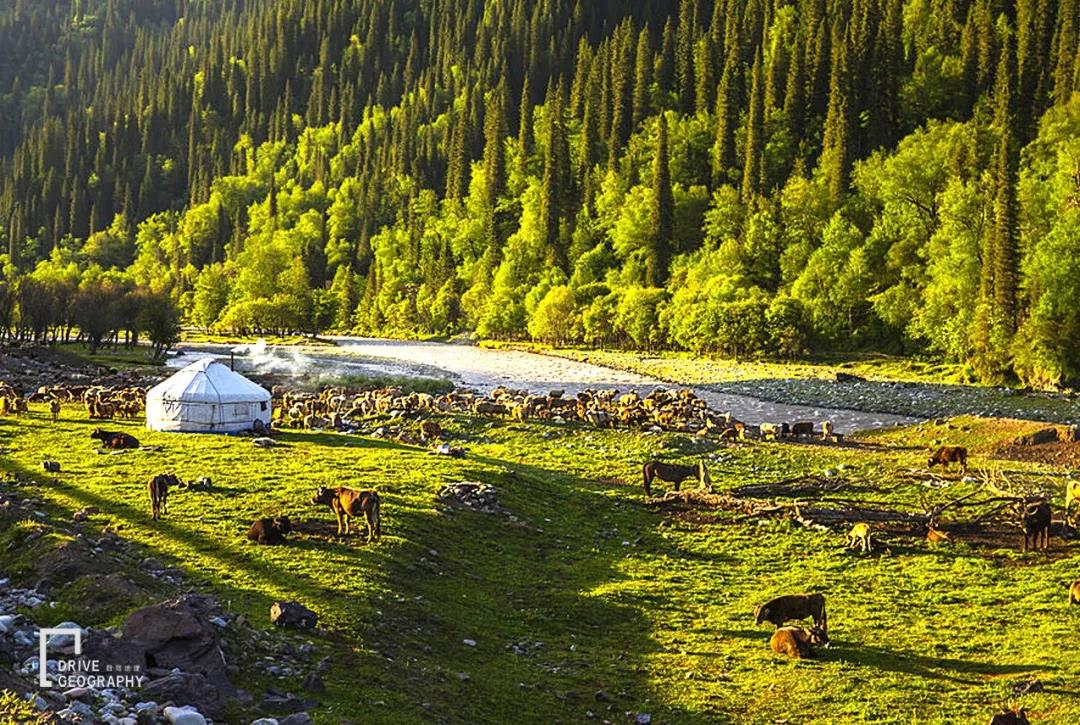 值得走一遭的网红公路,全疆最美的公路