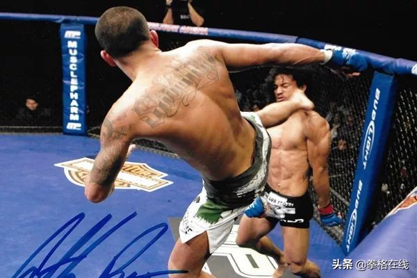 怎么让笼子成为猫家,mma比赛必杀技