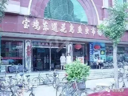 天津哏儿都的好去处,天津哏儿都