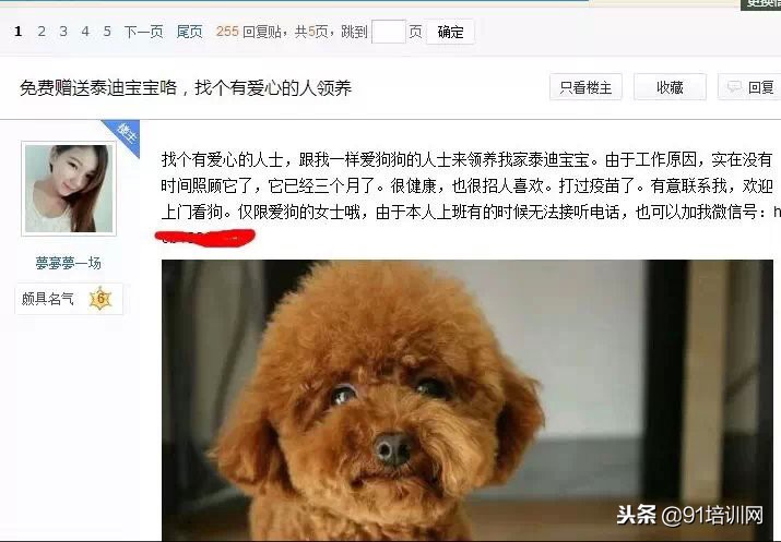 推广引流找人一般都找什么人,怎样在抖音上找人给你做项目推广