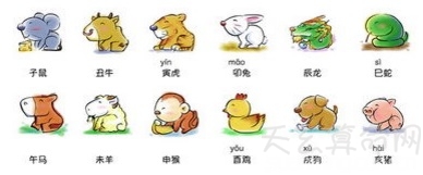 十二生肖中阴肖指的是哪几肖,十二生肖有哪一肖是翘脚的