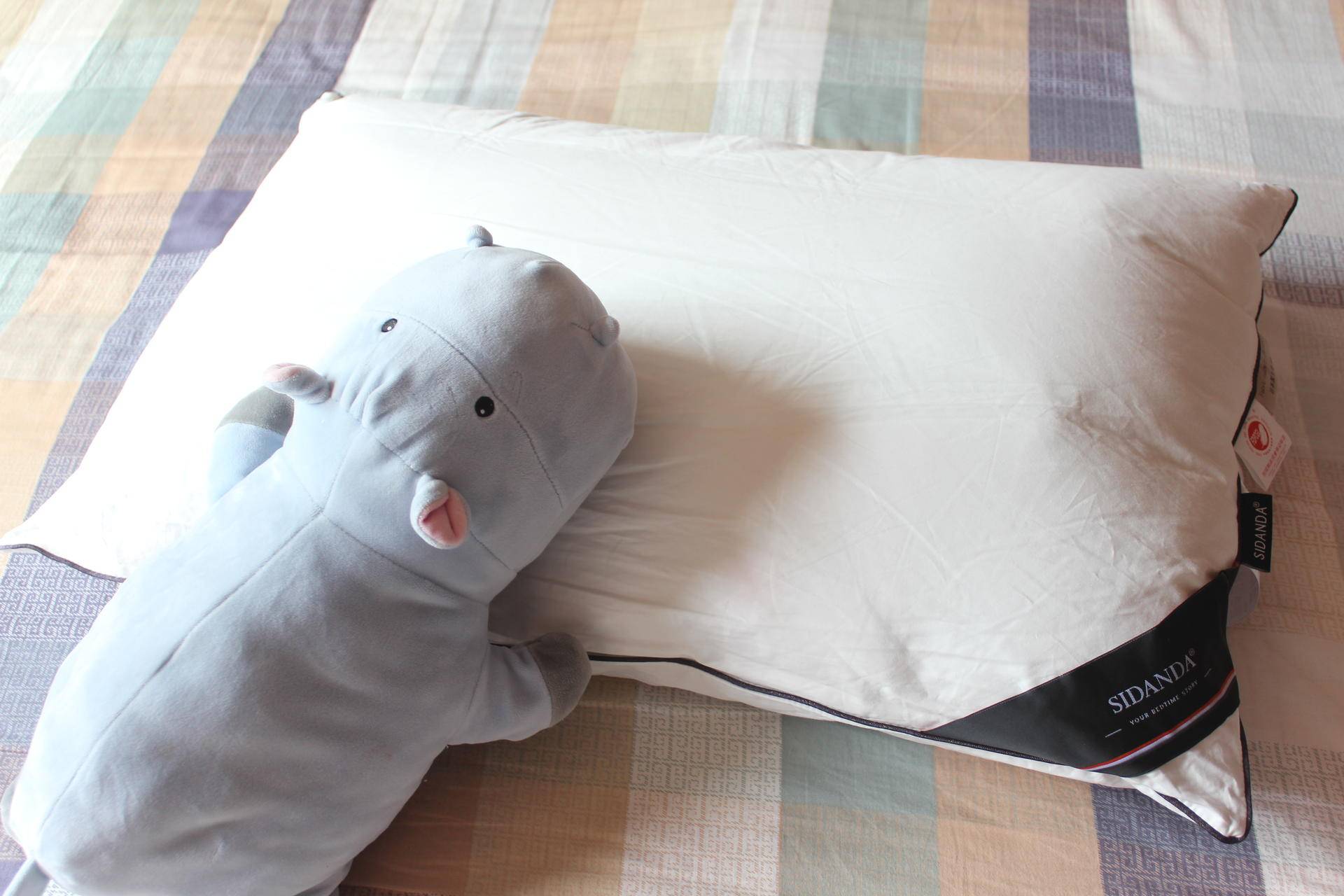 如何选择一款舒服的枕头,高枕无忧选枕头是越高越好吗