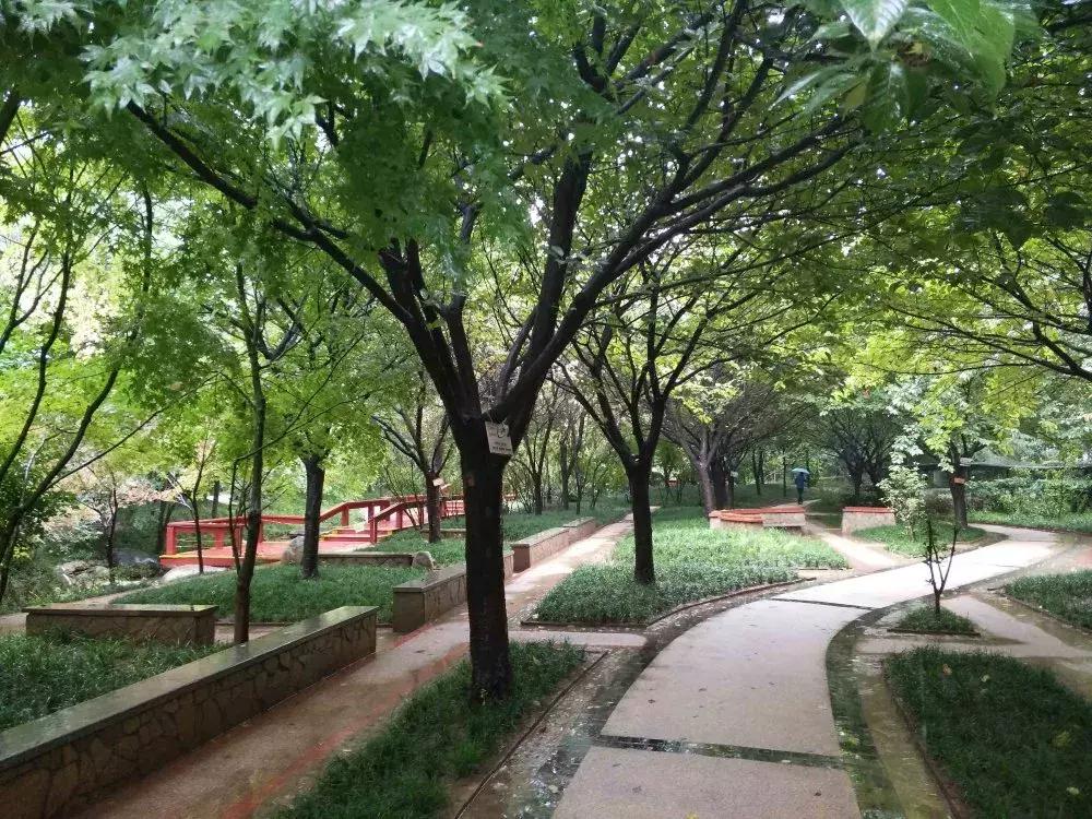 高新学区房和学位房有啥区别,鸿园小区是学位房还是学区房