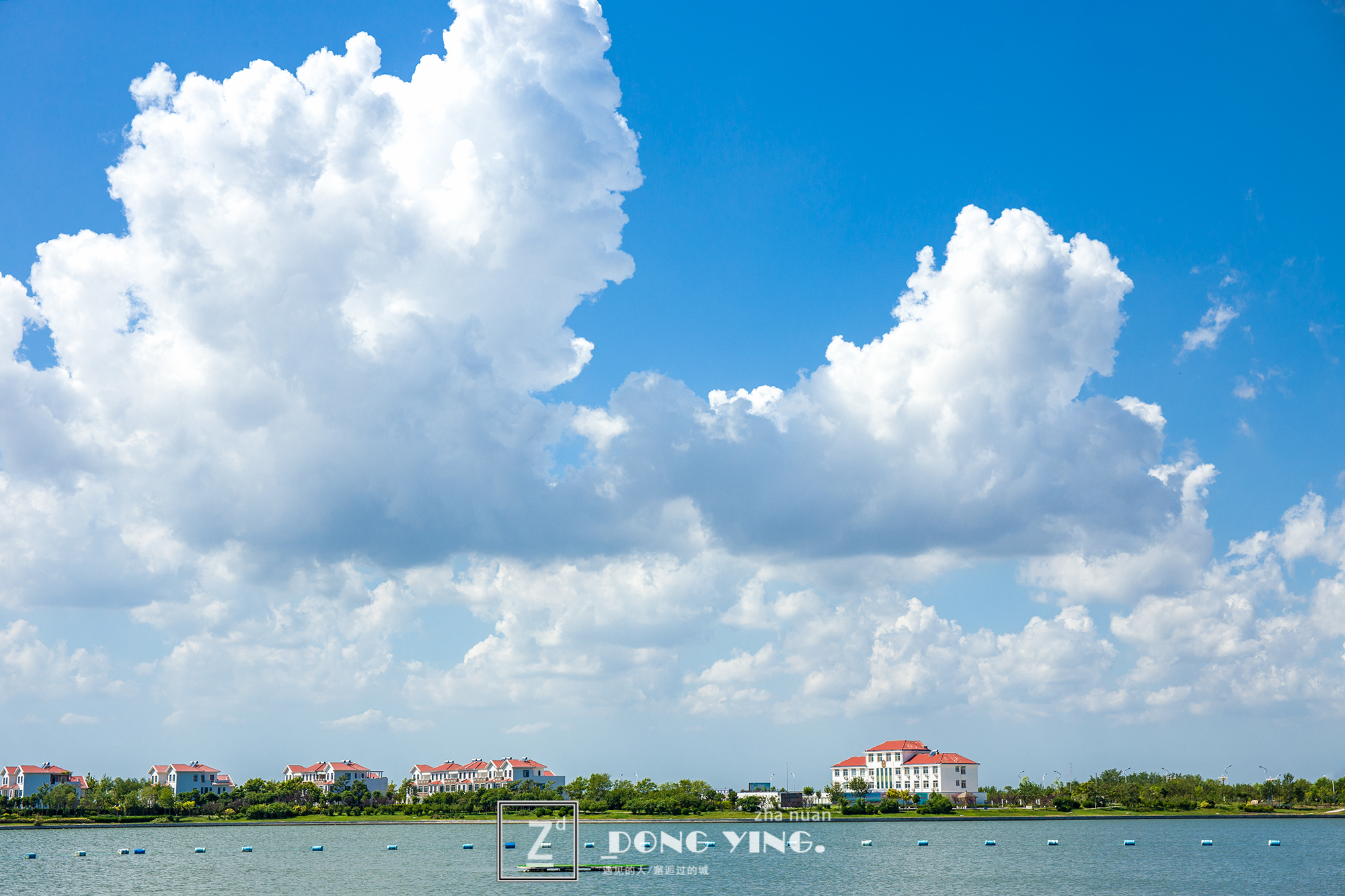 山东黄河入海城市,山东黄河去哪里看最壮观